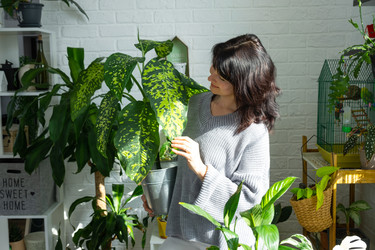 Similar image 22437706