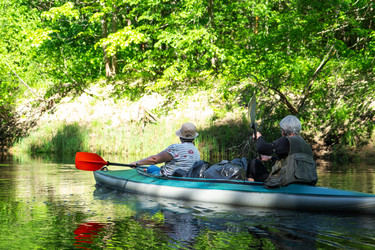 Similar image 22437712