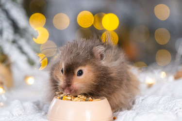 Similar image 22437714