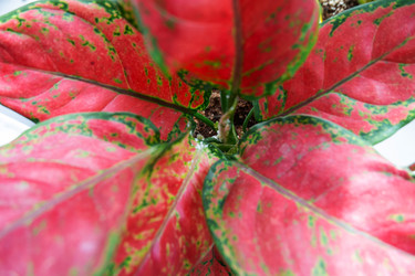 Similar image 22437719