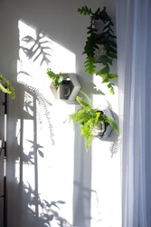 Similar image 22437726