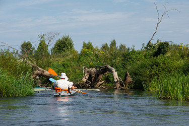 Similar image 22437730