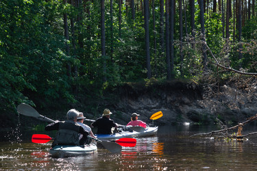 Similar image 22437739