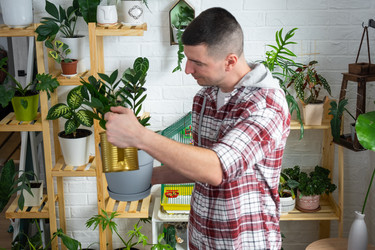 Similar image 22437744