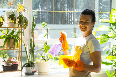 Similar image 22437746