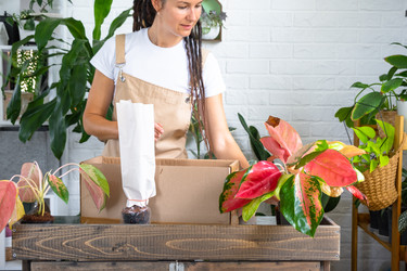 Similar image 22437758