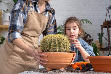 Similar image 22437768