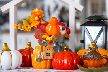 Similar image 22437771