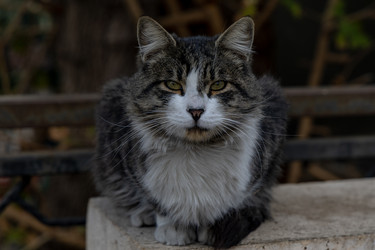 Similar image 22418810