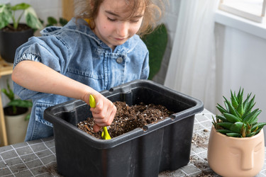 Similar image 22437773