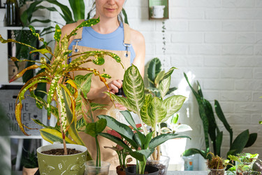 Similar image 22437790