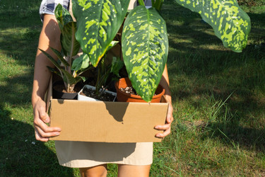 Similar image 22437791