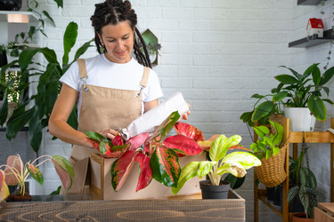 Similar image 22437796