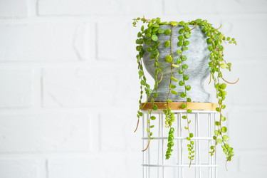 Similar image 22437797