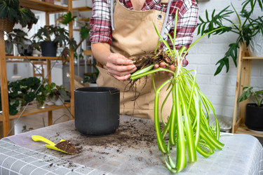 Similar image 22437799