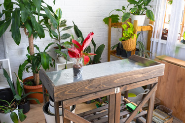 Similar image 22437804