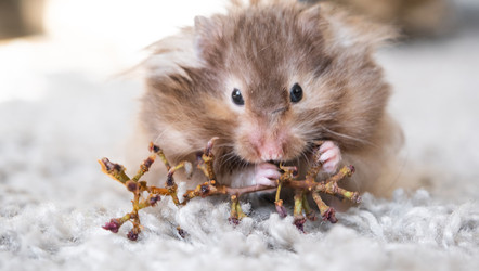 Similar image 22437808