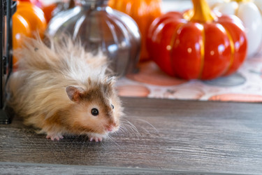 Similar image 22437813