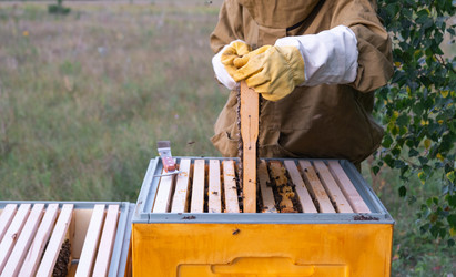 Similar image 22437817