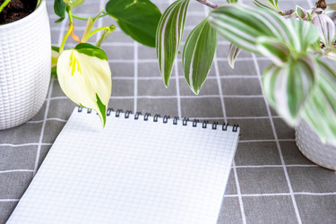 Similar image 22437826