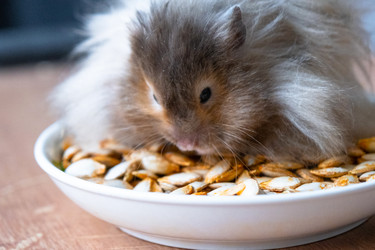 Similar image 22437827