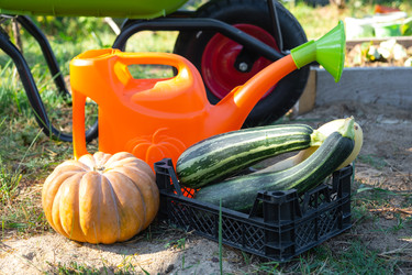 Similar image 22437834