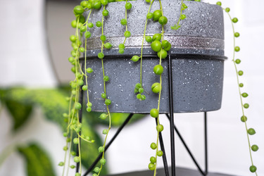 Similar image 22437838