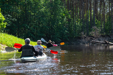 Similar image 22437840