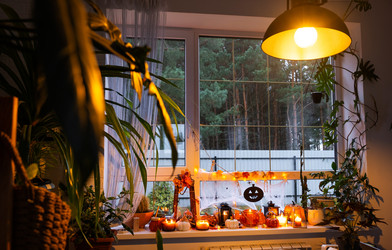 Similar image 22437845