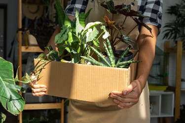 Similar image 22437846