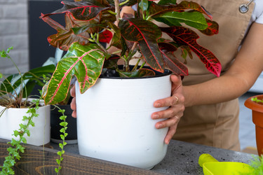 Similar image 22437847