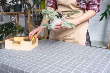 Similar image 22437850