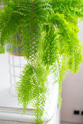 Similar image 22437856