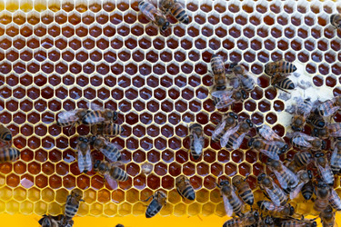 Similar image 22437868