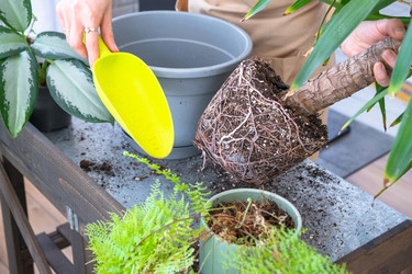 Similar image 22437869