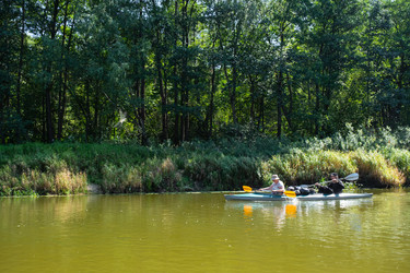 Similar image 22437890