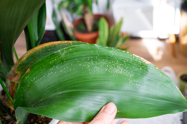 Similar image 22437897