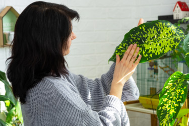 Similar image 22437898