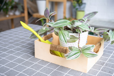 Similar image 22437901