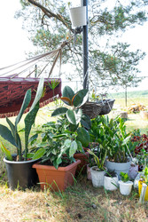 Similar image 22437903