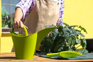 Similar image 22437909