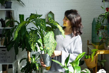 Similar image 22437920