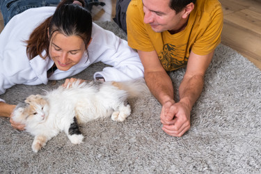 Similar image 22437921