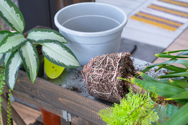 Similar image 22437923