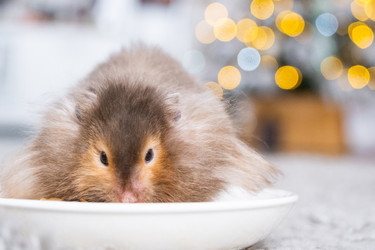 Similar image 22437930