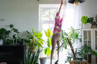 Similar image 22437934