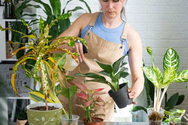 Similar image 22437945