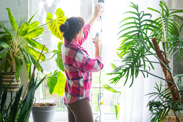 Similar image 22437946