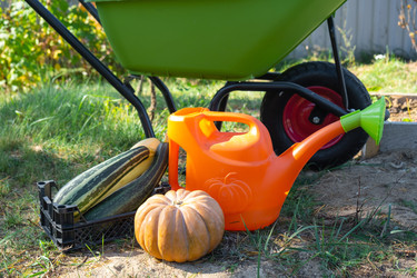 Similar image 22437959