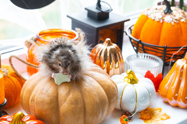 Similar image 22437961